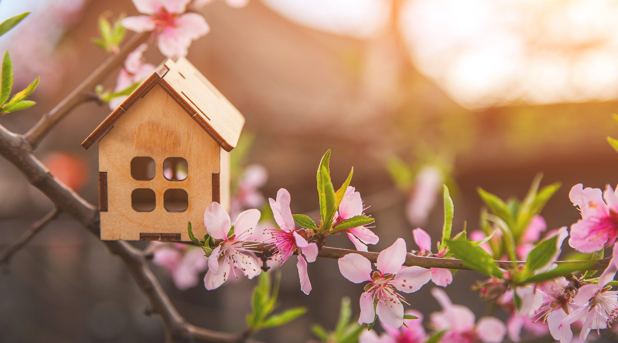 Why Spring is the Best Time to Buy a Home in 2025